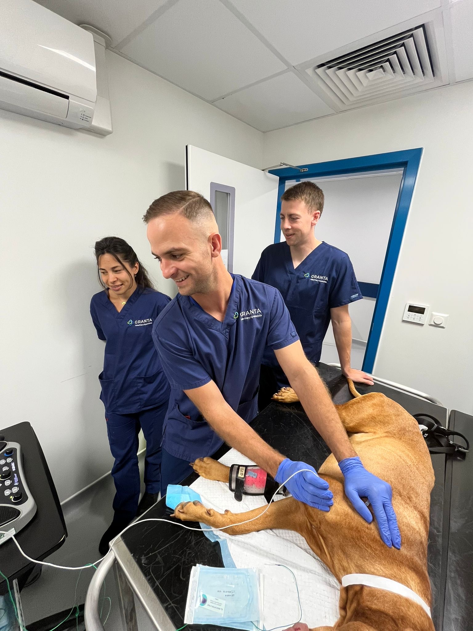 A clinician in navy Granta scrubs carries out electrodiagnostic testing on a dog lying on an examination table, with two colleagues looking on